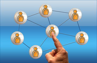 开云体育下载app-意甲球队季中高强度赛程负荷与表现关系研究，意甲各项记录