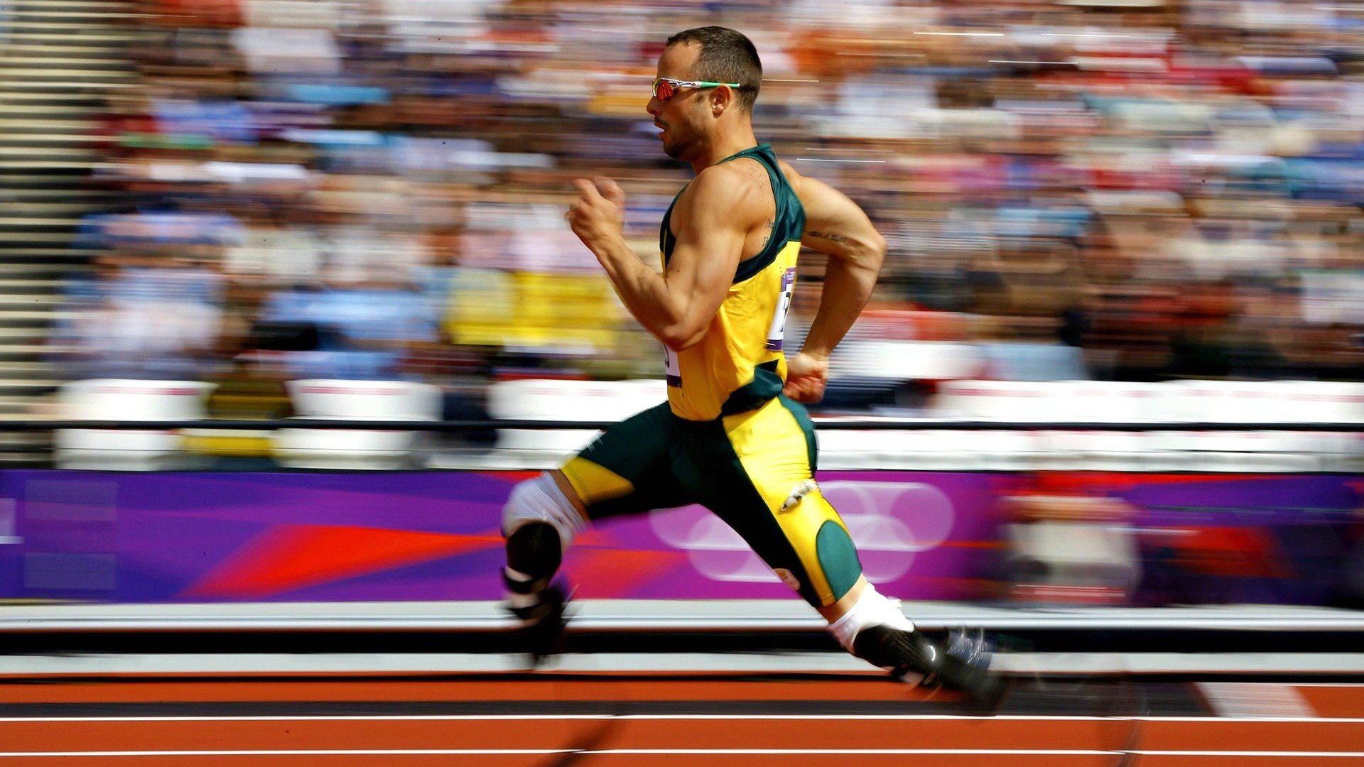 智能体育设备维护技术与管理策略研究，体育智能化